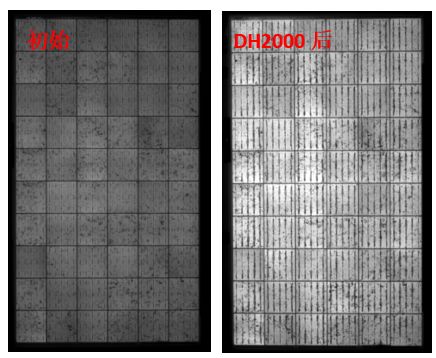 圖13 組件采用VA33含量EVA封裝后，DH2000前后的EL圖